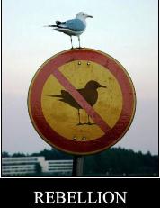 rebellion